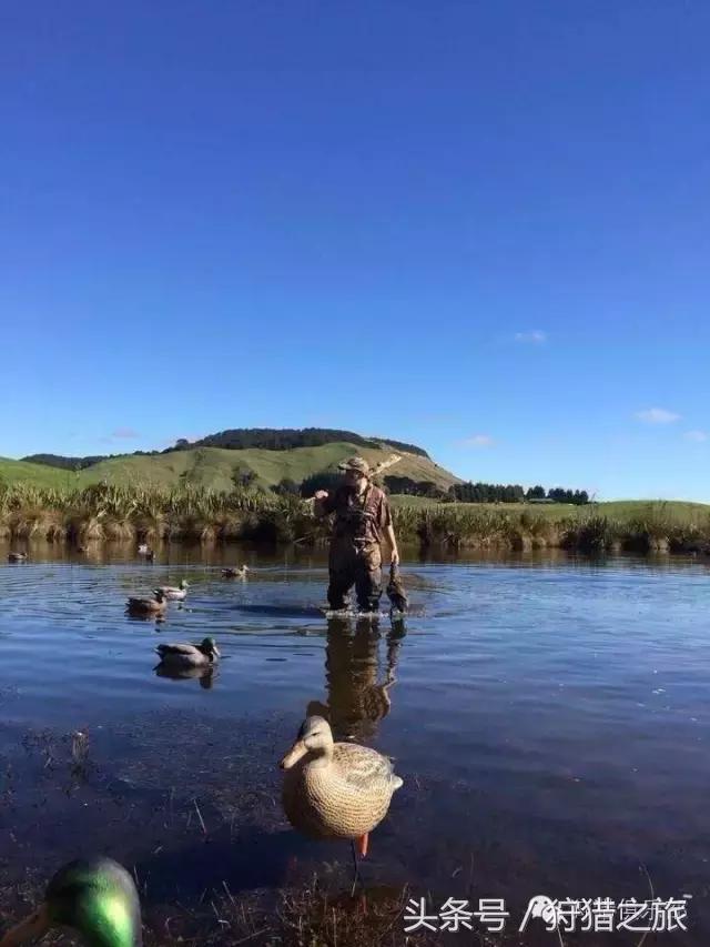 全球最具吸引力的狩猎圣地，加入高人一等的国际猎人组织！