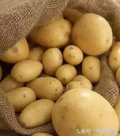 齐齐哈尔特产哪些最有名,齐齐哈尔的特产有哪些