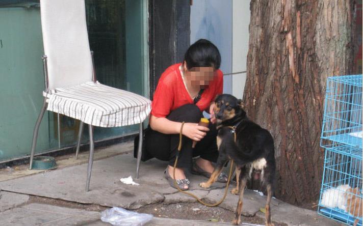 狗狗产后性情大变，追咬路人，被保安*攻围**却做出异样动作让人原谅