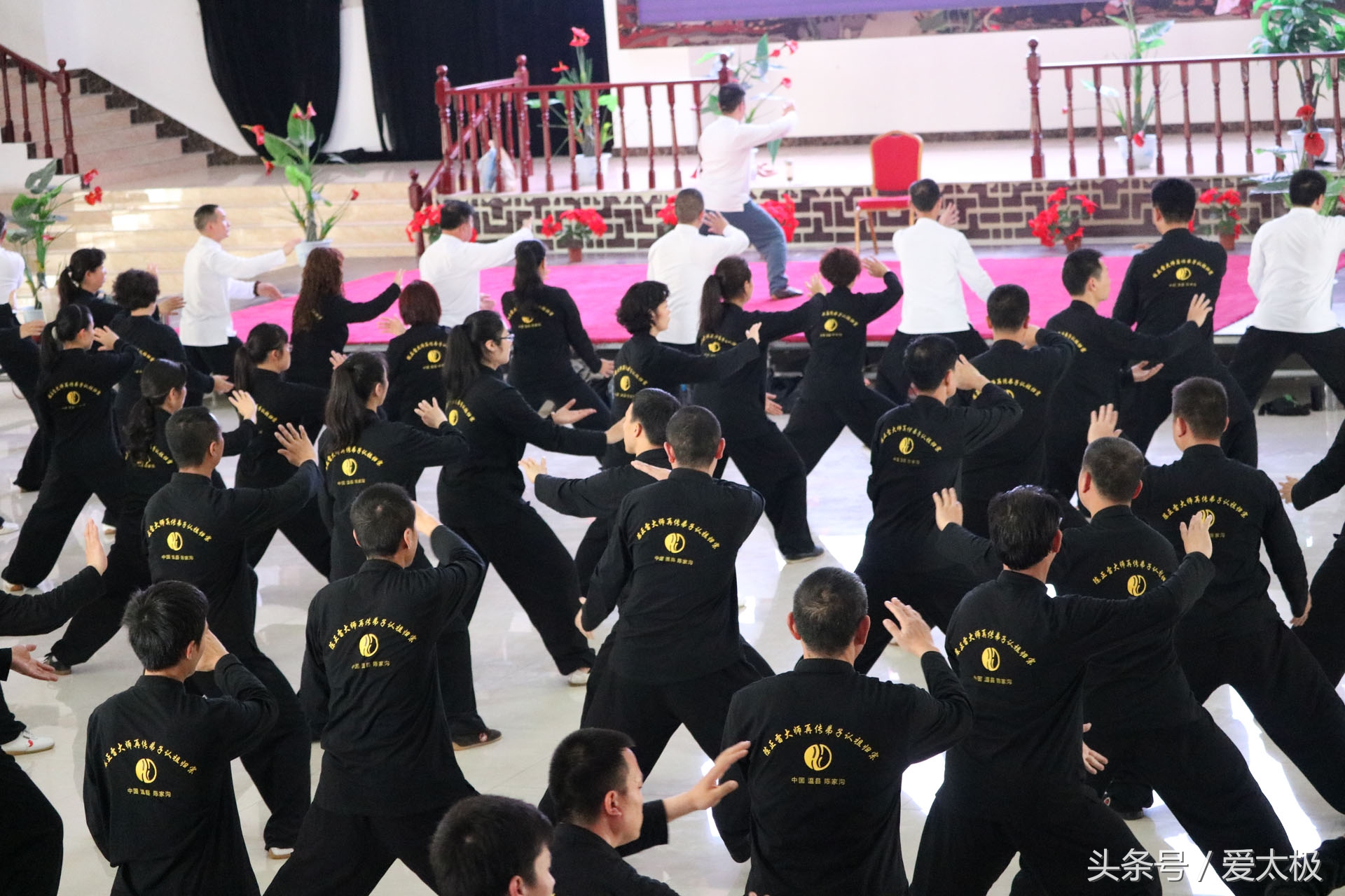 神气的太极疗法，颈椎病的请靠边