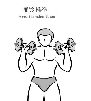 新手哑铃健身计划一周表,哑铃健身计划及标准动作图