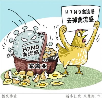 面对流感怎样有效防护,怎样可以预防禽流感