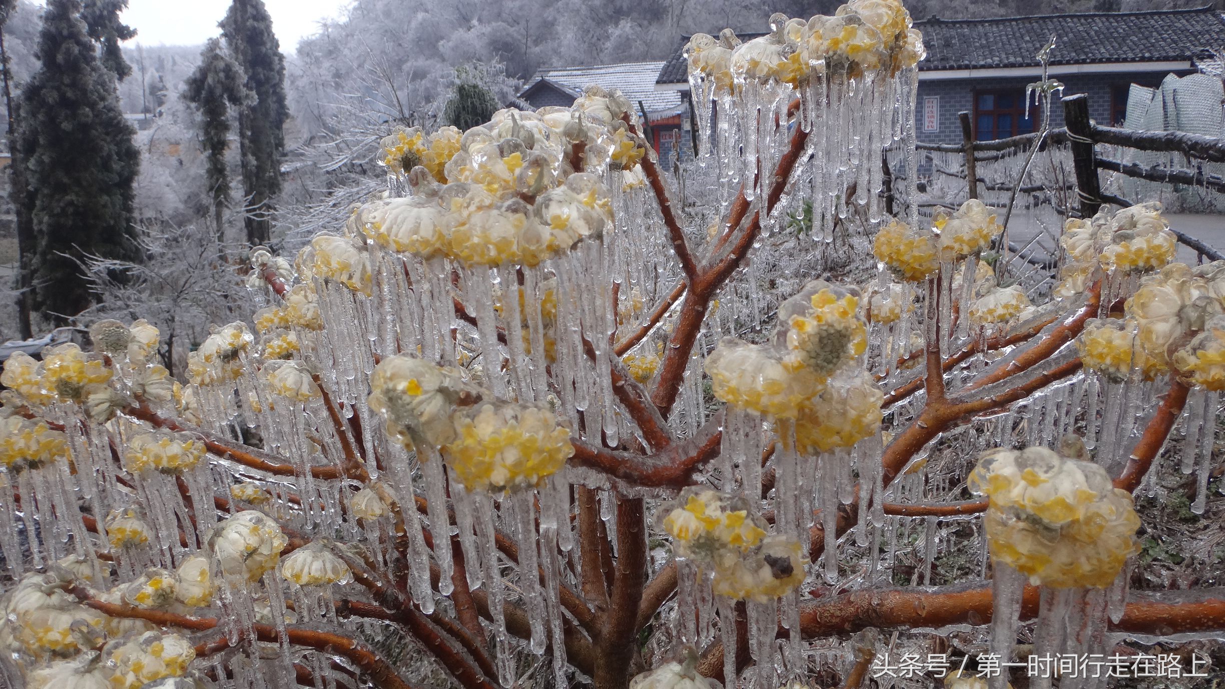 张家界浪漫之地,张家界最浪漫的婚纱
