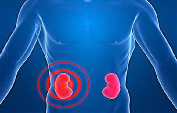 儿童慢性肾炎饮食上吃什么,慢性肾炎为什么要低磷饮食