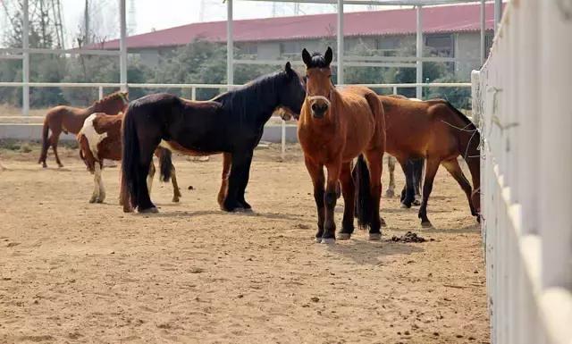 户县新西兰农场好玩吗,西安户县农场