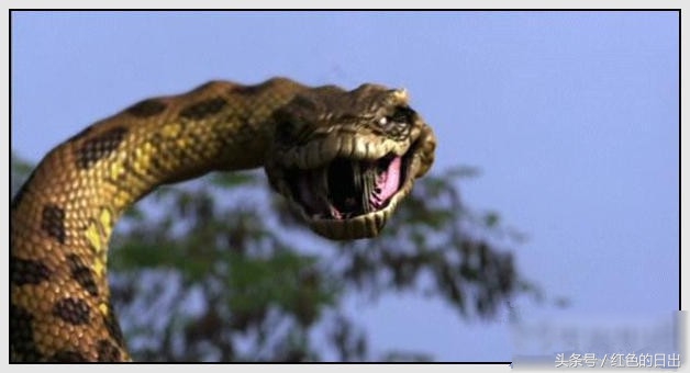 老道士杀女鬼,老道士杀程咬金完整版