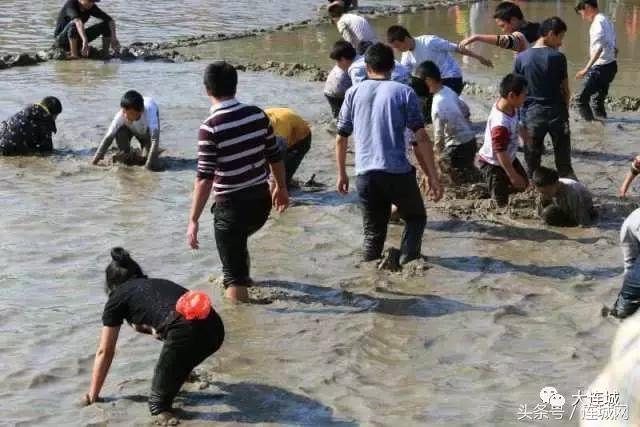 二月二龙抬头打篮球,二月二龙抬头打麻将