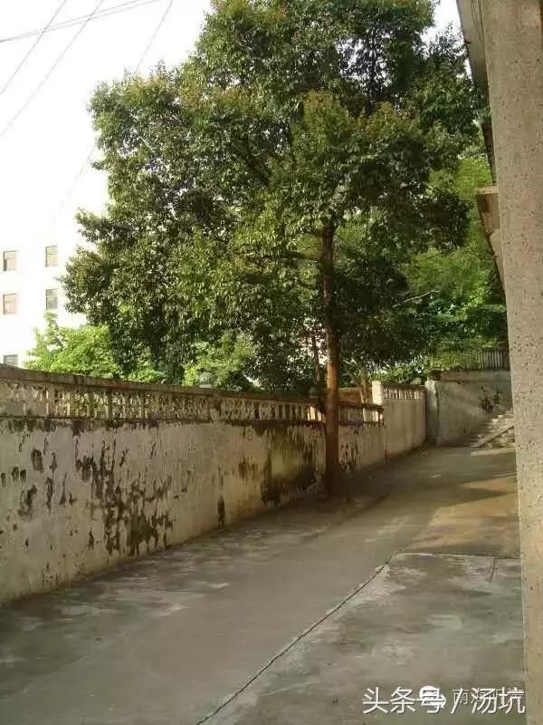 第二故乡乡愁,第二故乡情浓浓