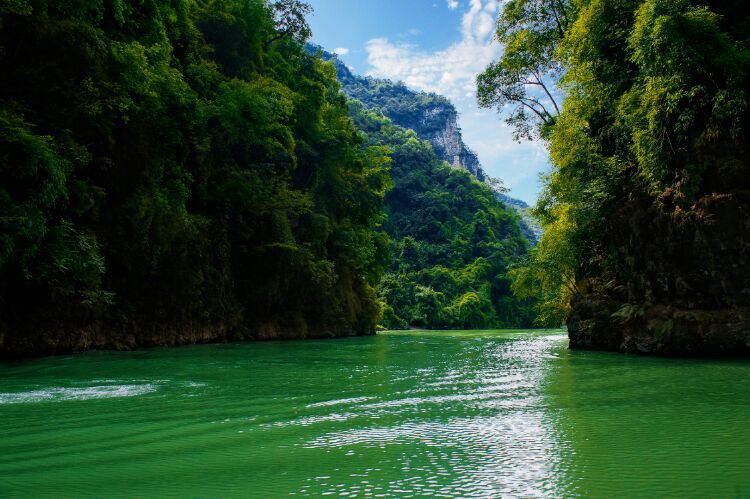 茶马古道丽水金沙,盐茶古道日照