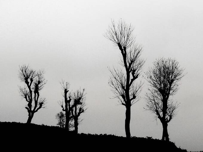 茶马古道丽水金沙,盐茶古道日照