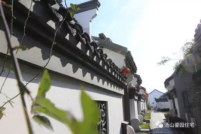 汤山鎏园环境,汤山鎏园图片