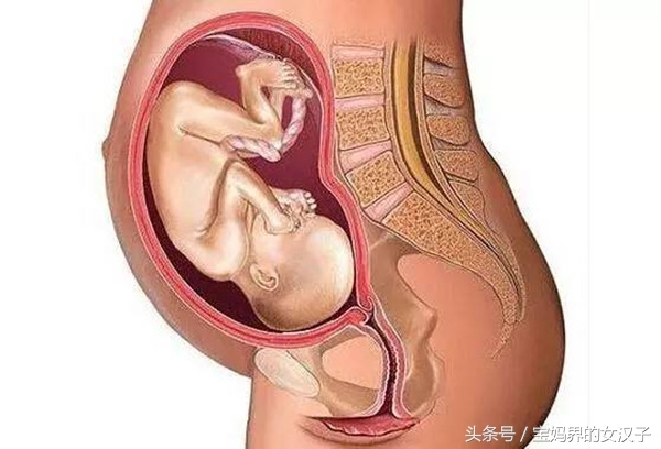 我收藏了关于胎儿入盆知识这是我见过总结最全的文章