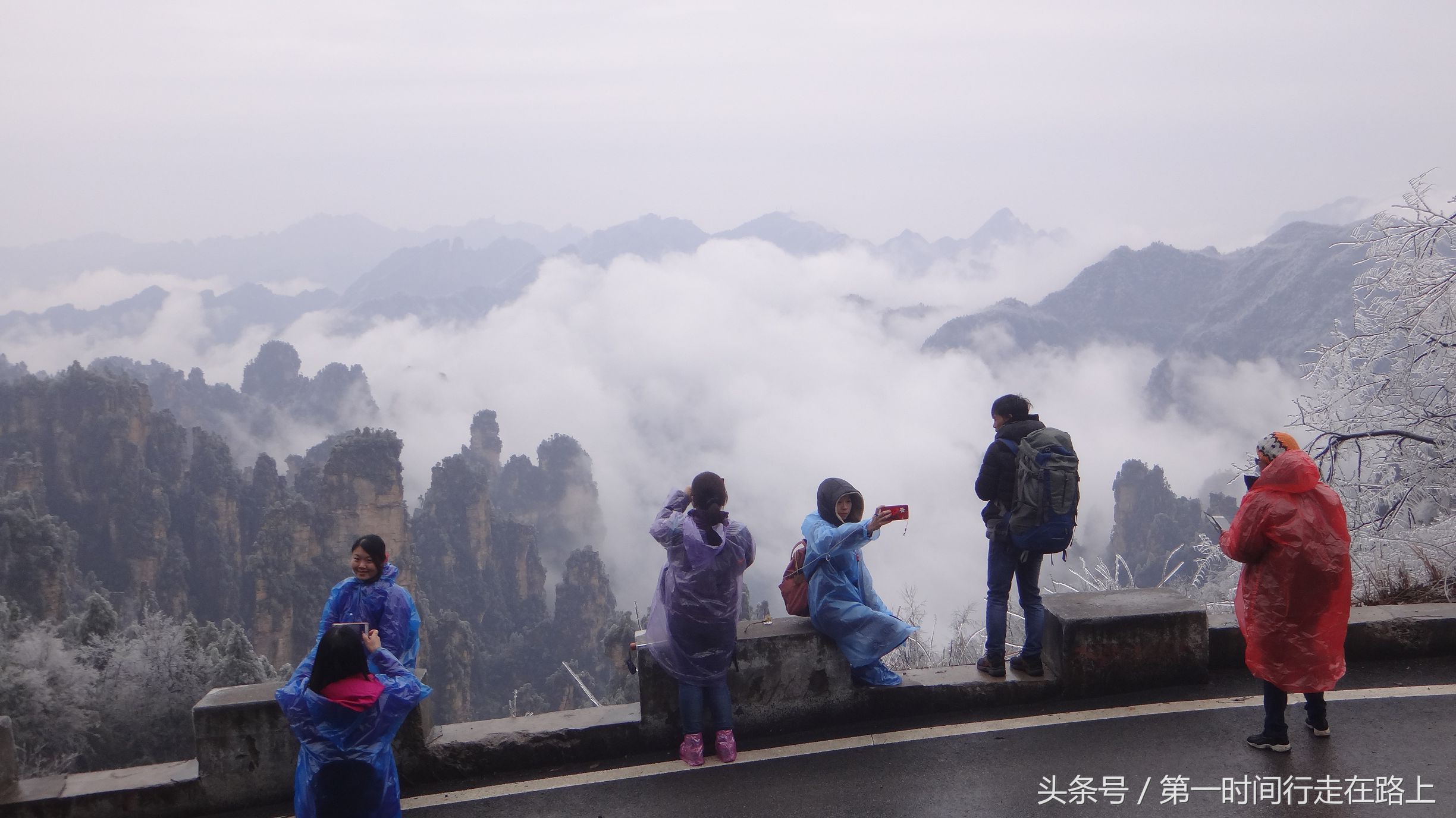 张家界浪漫之地,张家界最浪漫的婚纱