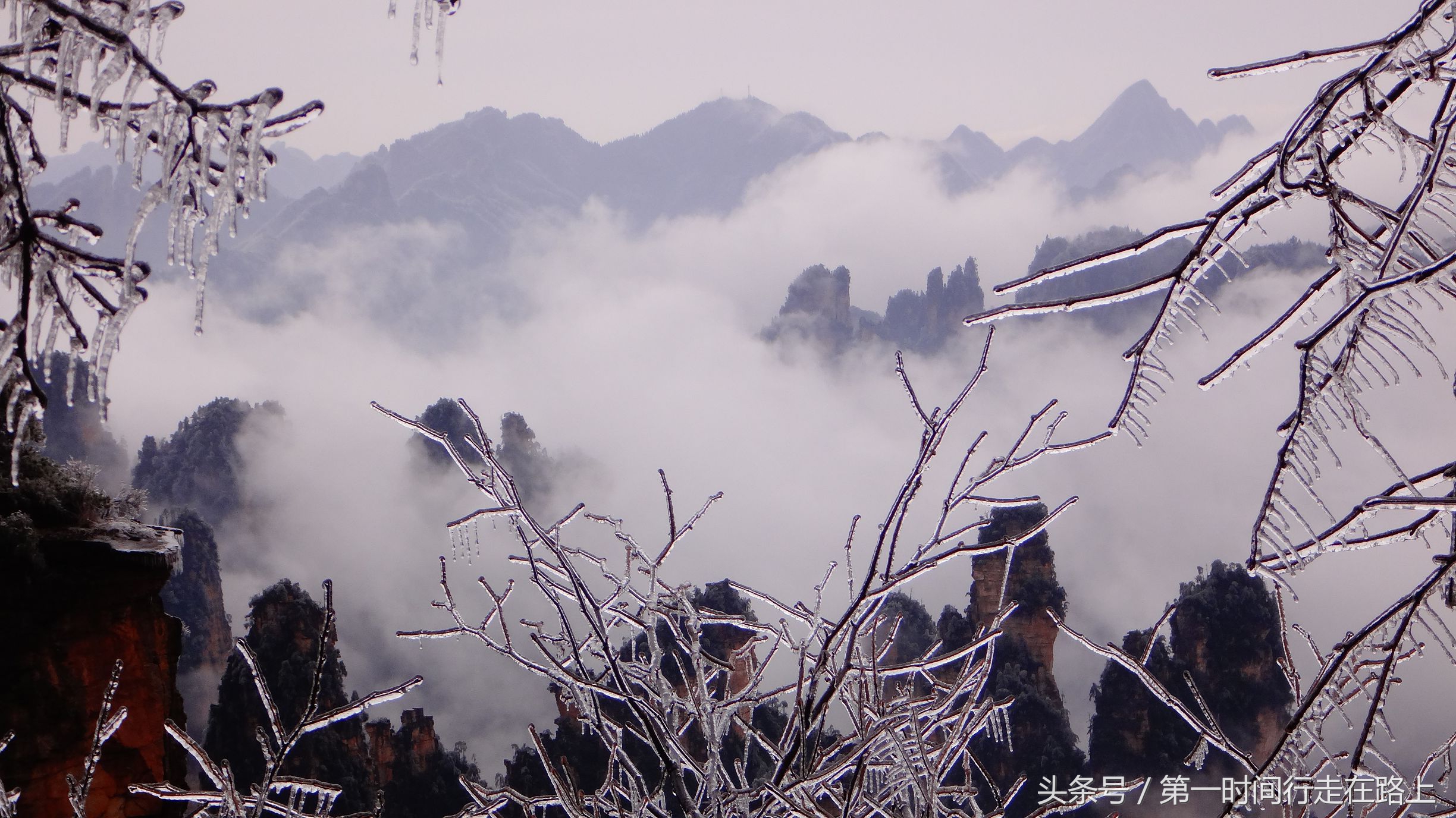 张家界浪漫之地,张家界最浪漫的婚纱