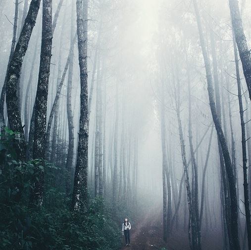 去旅游时拍人物照技巧,去旅游拍小视频