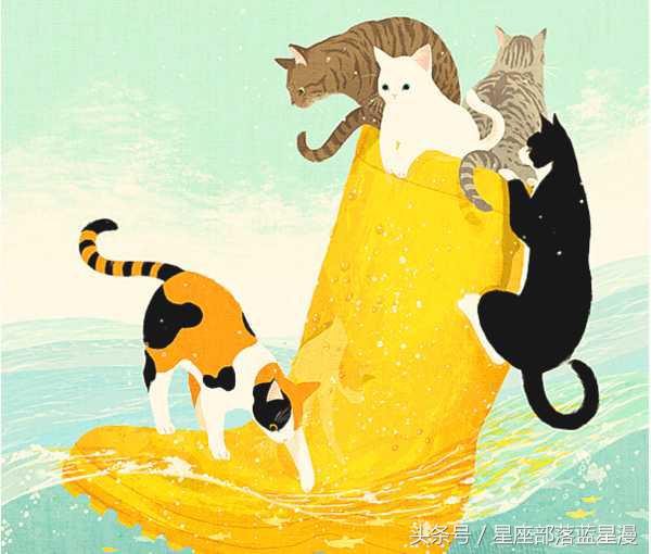 12星座一点就炸的雷区,12星座最不容易被坑的星座