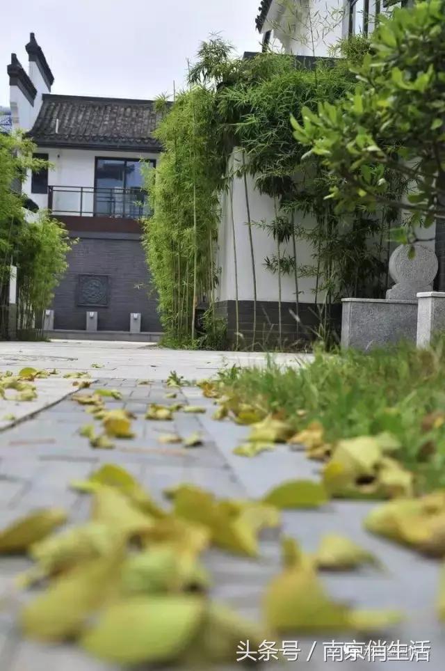 当爱情遇见彩礼你会怎么做,爱情和房子如何决定