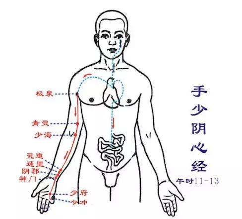 经络调理秘诀小程序,经络治百病