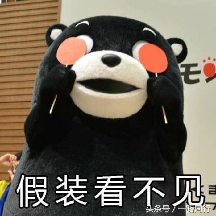 出差和旅游傻傻分不清楚,跟好朋友出来旅游旅游观念不同