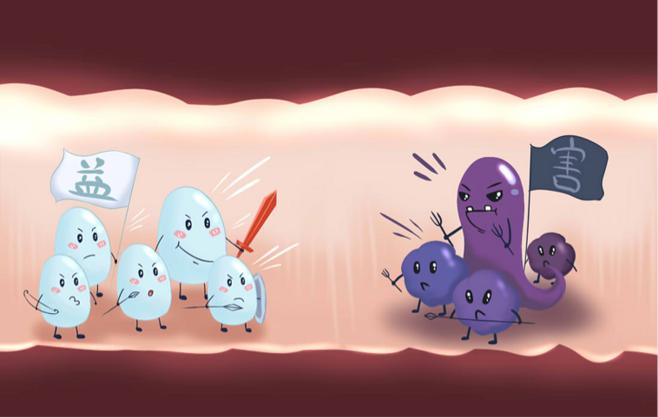 怎么吃都长不胖的人是什么原因,从西医角度人吃不胖的原因