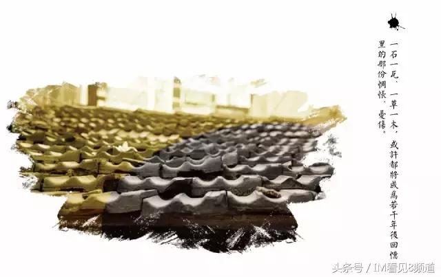 朱行老街乘风破浪,朱行老照片