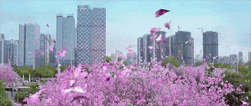 柳州附近农庄适合小孩玩,柳州周边农庄场地推荐