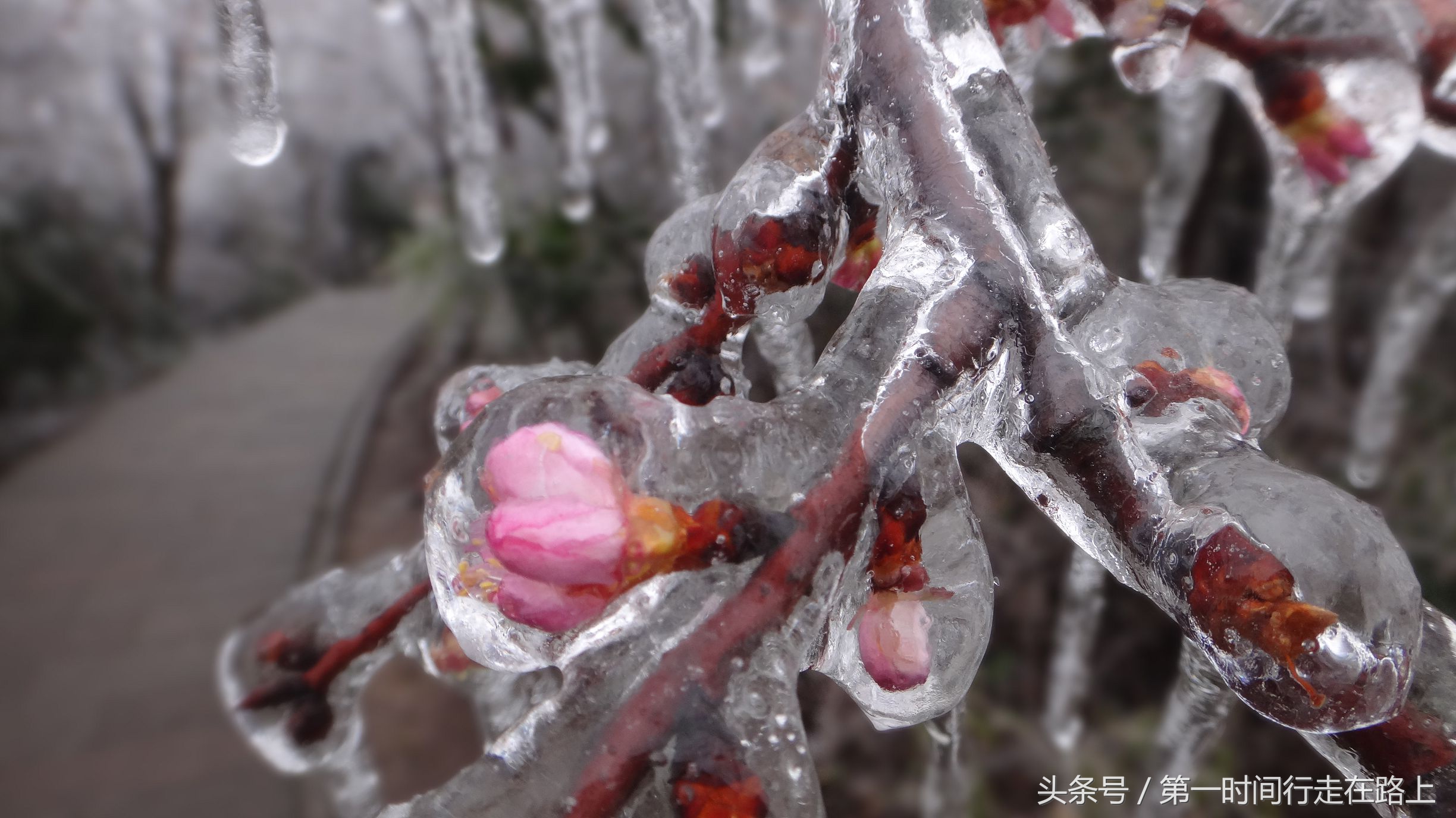 张家界浪漫之地,张家界最浪漫的婚纱
