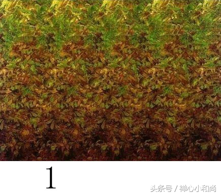 最强大脑小四道歉完整版,最强大脑小四和魏教授吵架