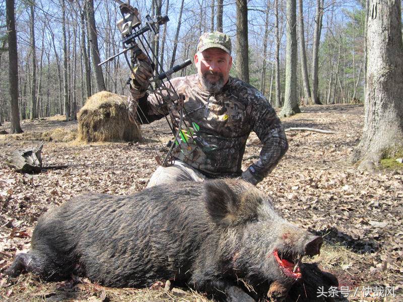 美女手上拿的是什么？猎杀最凶猛动物的复古*器武**