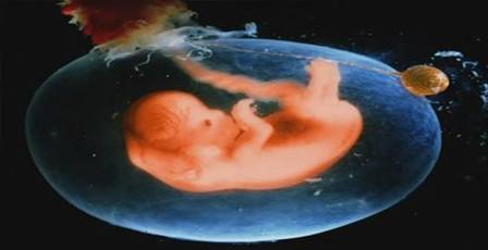 怀孕期间怎么预防提前破羊水,怀孕如何防止过早破水