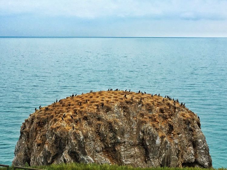 成都到青海湖最佳路线,成都去青海湖怎么去