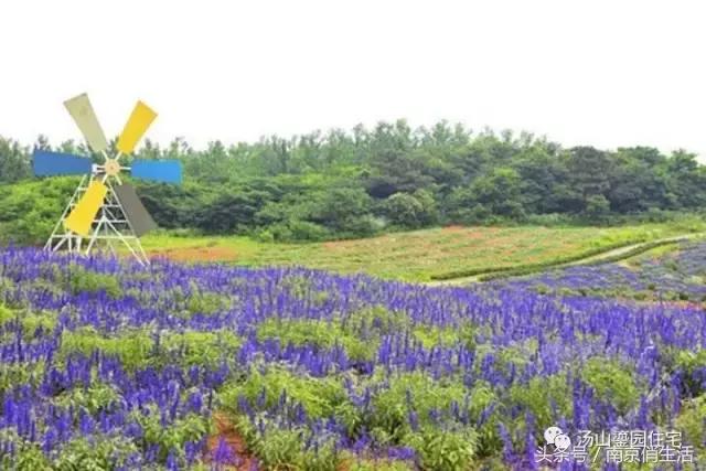 当爱情遇见彩礼你会怎么做,爱情和房子如何决定