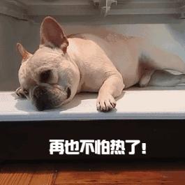 让温度留下“脚印”的小纸条