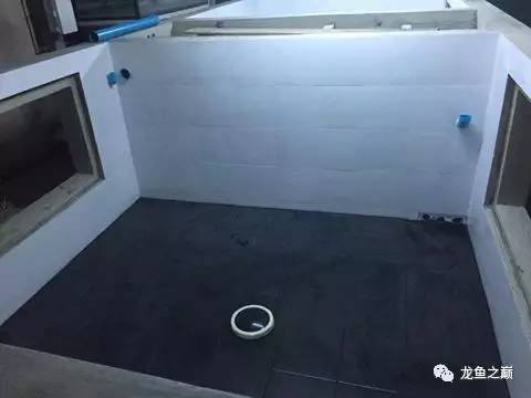 被龙鱼驱赶，哭！