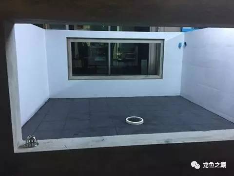 被龙鱼驱赶，哭！