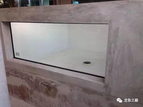 被龙鱼驱赶，哭！