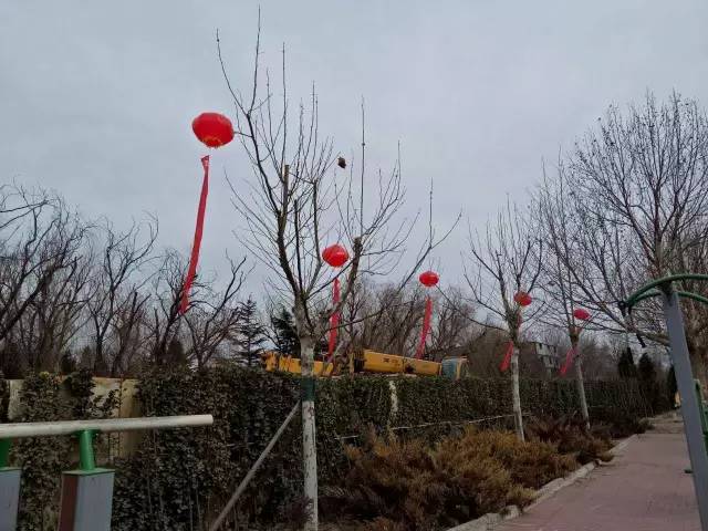 廊坊片区征迁安置补偿方案,廊坊大马坊村拆迁补偿