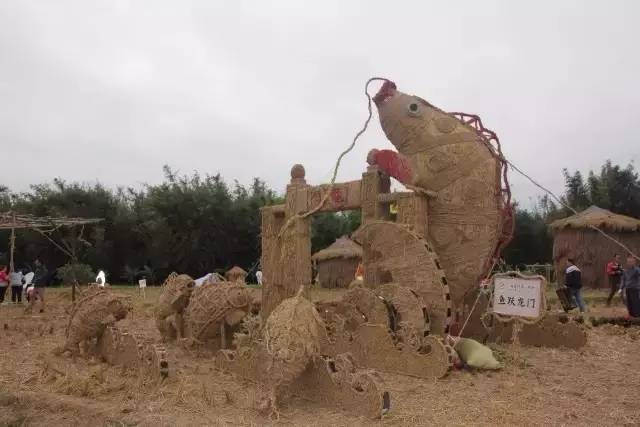 今日关注｜您好我叫从化，这是我的最新简历