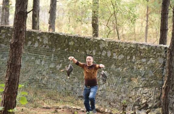 瀹炲脊鐙╃寧鏃呮父,鍥藉唴鐙╃寧涔嬫梾