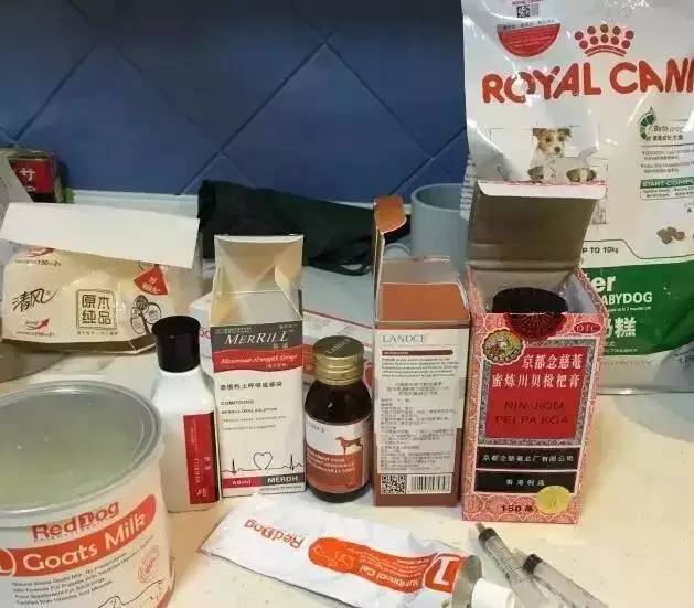 我有犬瘟，但感谢有你！