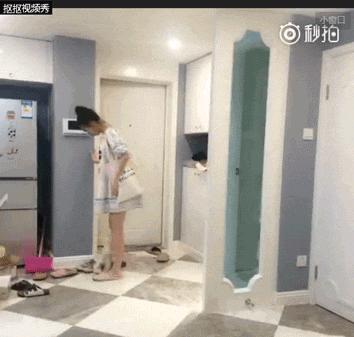 我有犬瘟，但感谢有你！