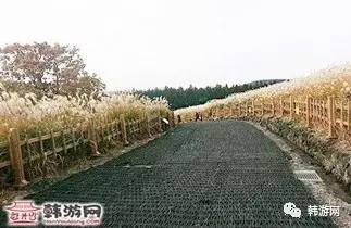 济州岛最美的海岸,济州岛最美的山峰