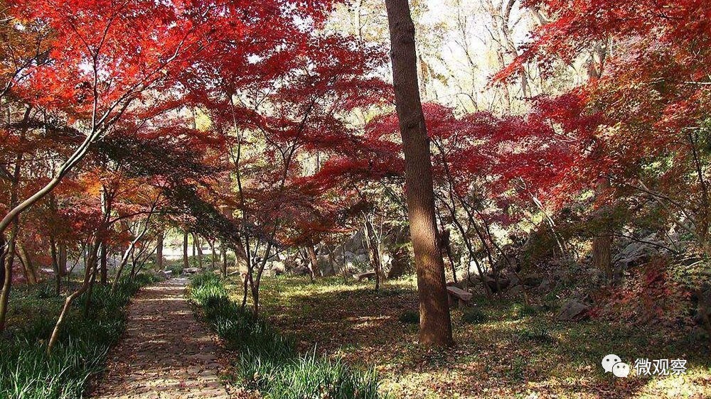 股市交易操盘心法,股市每日操盘操作技巧