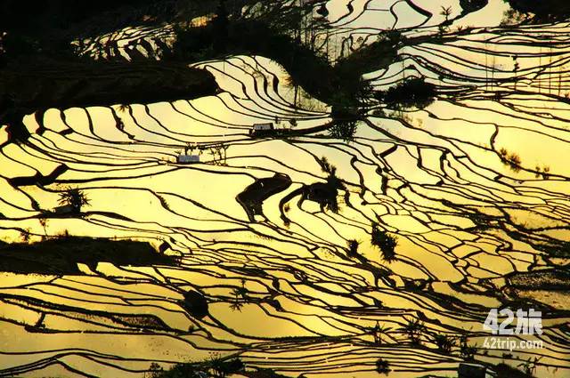 赛事推荐赛事,近期全国比赛报名