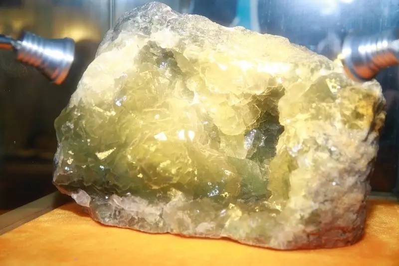 上海地质科普馆鸵鸟,上海地质博物馆有哪些石头