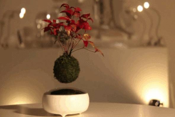 磁悬浮高铁运用什么科技,磁悬浮可以用高铁轨道吗