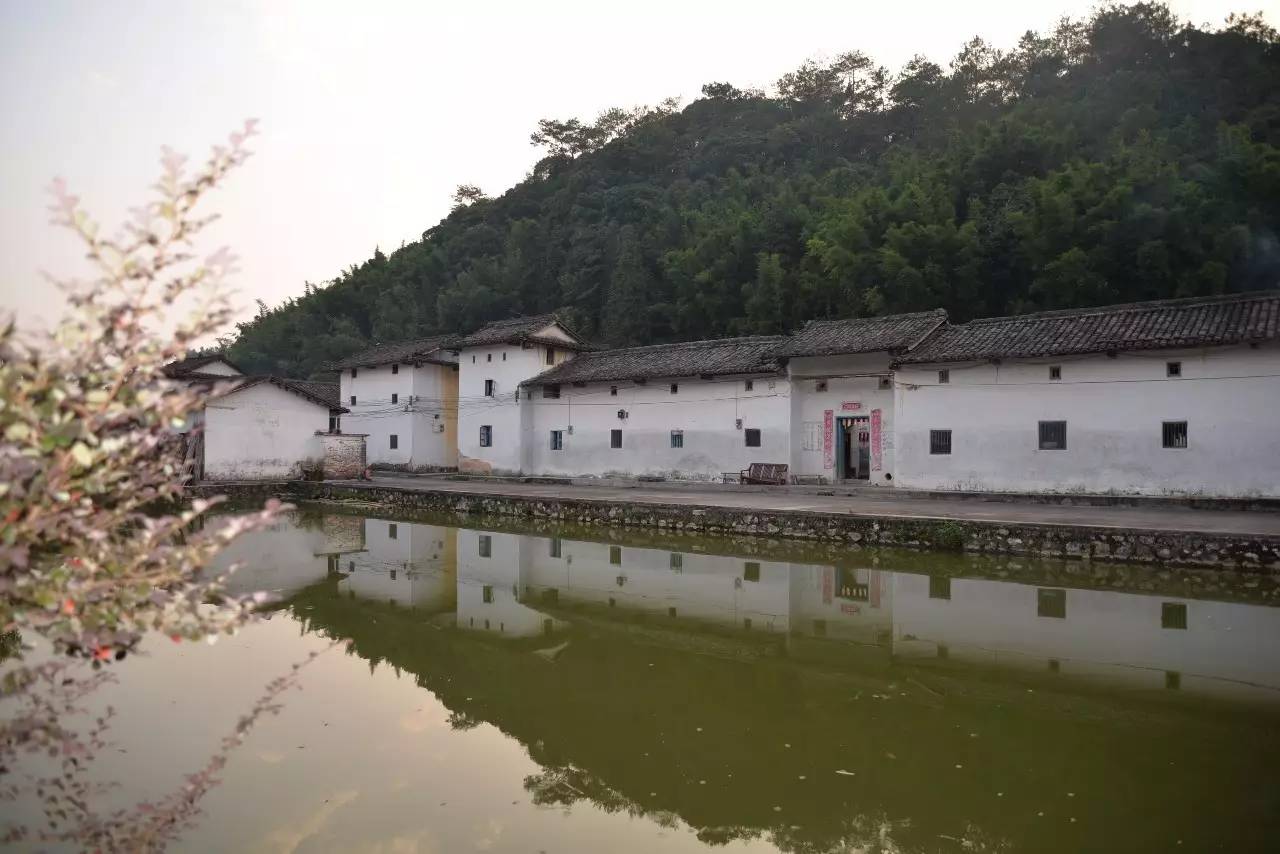 今日关注｜您好我叫从化，这是我的最新简历