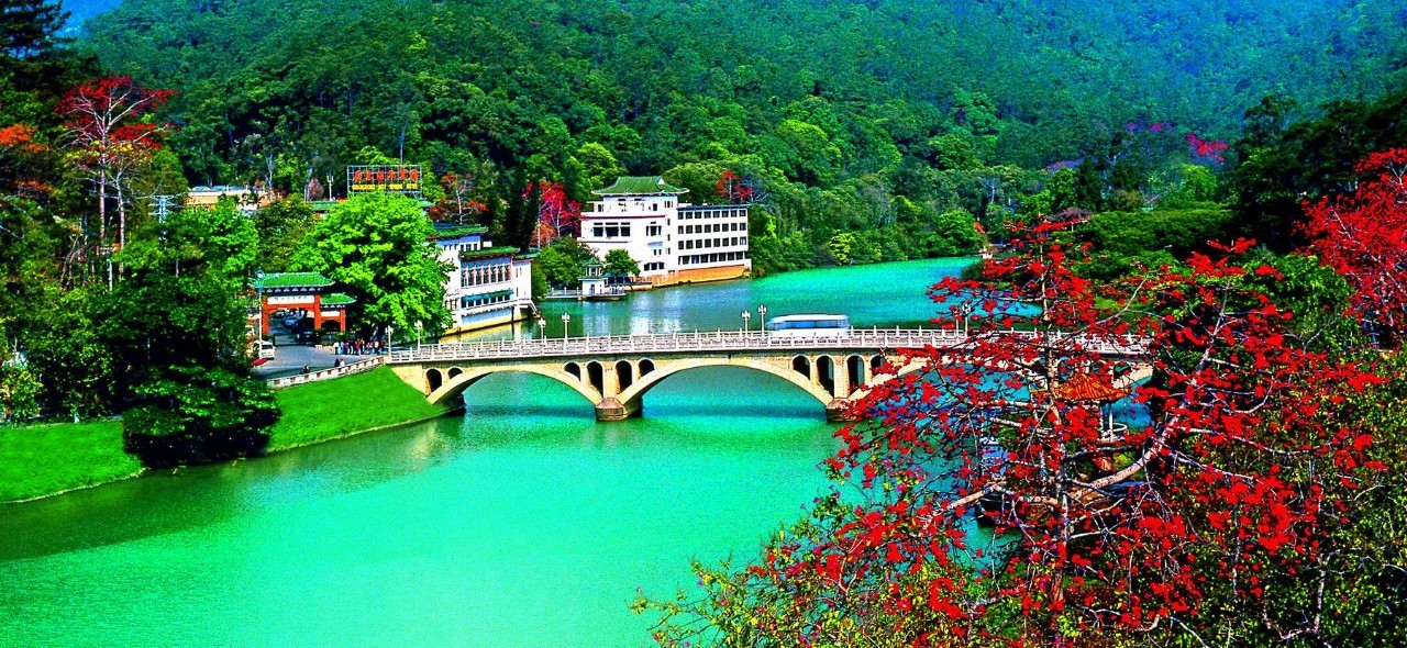 今日关注｜您好我叫从化，这是我的最新简历