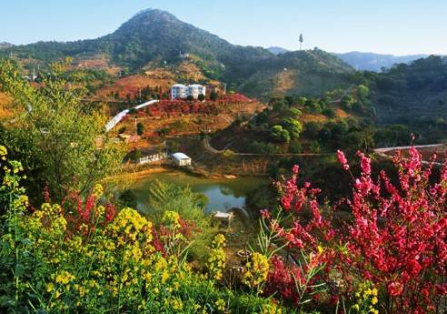 今日关注｜您好我叫从化，这是我的最新简历