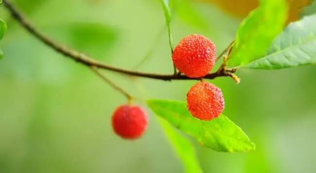 今日关注｜您好我叫从化，这是我的最新简历